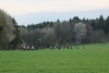 Wanderung_20220424_62