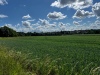 Wanderung_20220529_05