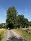 Wanderung_20220619_03