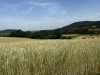 Wanderung_20220619_07