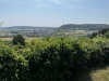 Wanderung_20220619_12