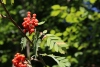 Wanderung_20220724_03
