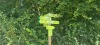 Wanderung_20220821_31
