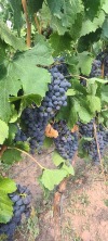 Wanderung_20220821_36