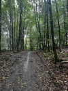 Wanderung_20220925_09