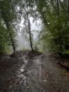 Wanderung_20220925_15