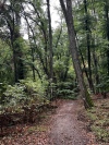 Wanderung_20220925_26