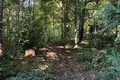 Wanderung_20221009_05