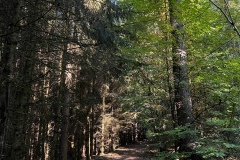 Wanderung_20221009_07