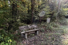 Wanderung_20221009_10