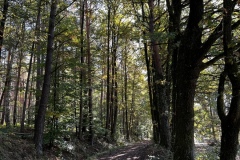 Wanderung_20221009_15