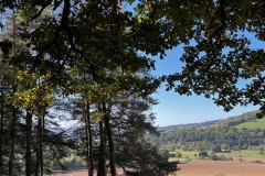 Wanderung_20221009_17
