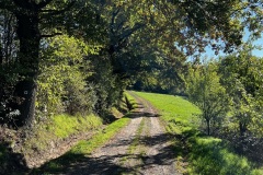 Wanderung_20221009_22