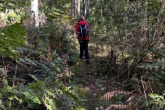 Wanderung_20221009_24