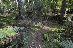 Wanderung_20221009_25
