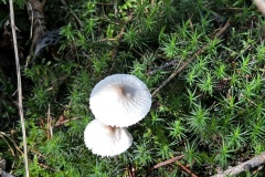Wanderung_20221009_26