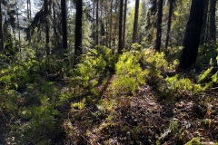 Wanderung_20221009_27
