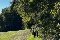 Wanderung_20221009_30