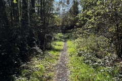 Wanderung_20221009_32