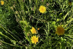 Wanderung_20221009_57