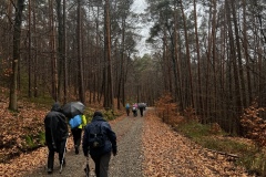 Wanderung_20221229_09