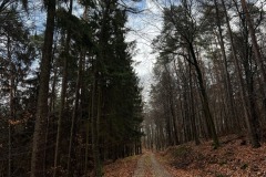 Wanderung_20221229_10