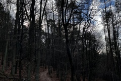 Wanderung_20221229_11