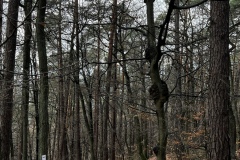 Wanderung_20221229_12