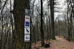 Wanderung_20221229_13