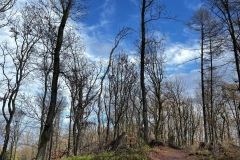 Wanderung_20221229_14