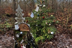 Wanderung_20221229_15
