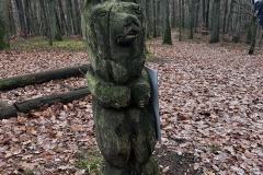 Wanderung_20221229_21