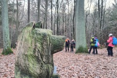 Wanderung_20221229_58