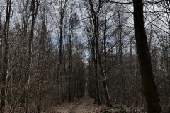 Wanderung_20230319_05