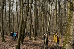 Wanderung_20230319_06