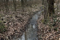 Wanderung_20230319_14