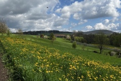 Wanderung_20230423_003