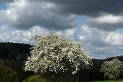 Wanderung_20230423_005