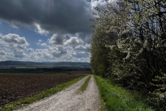 Wanderung_20230423_008