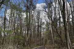 Wanderung_20230423_009