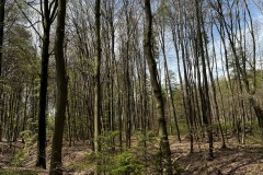 Wanderung_20230423_013