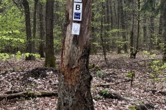 Wanderung_20230423_018
