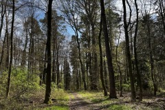 Wanderung_20230423_024