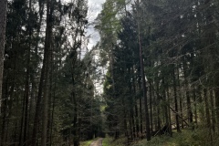 Wanderung_20230423_025