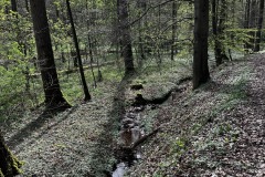 Wanderung_20230423_026