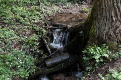 Wanderung_20230423_028