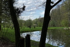 Wanderung_20230423_030