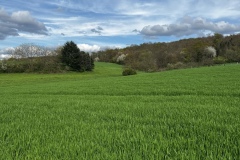Wanderung_20230423_033