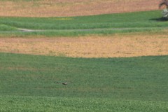 Wanderung_20230423_084