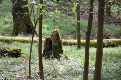 Wanderung_20230423_145